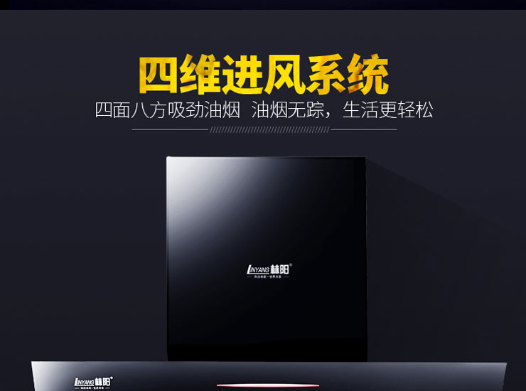 林阳牌劲霸A1侧吸吸油烟机