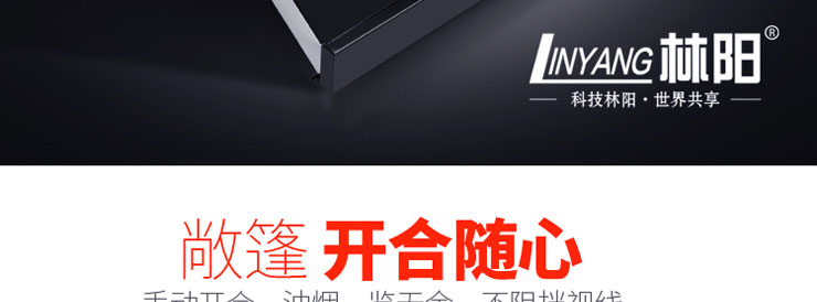 林阳牌劲霸A1侧吸吸油烟机