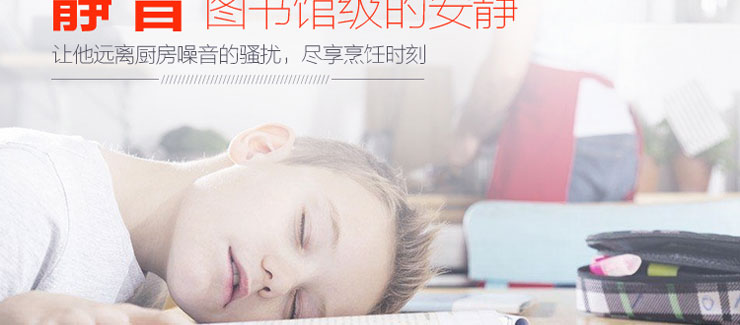 林阳牌劲霸A1侧吸吸油烟机